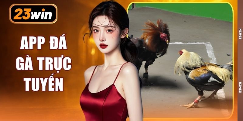 App Đá Gà Trực Tuyến | Tải Ngay Xem 500+ Trận Đấu Mượt Mà