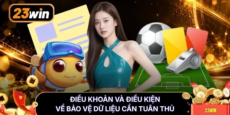 Điều khoản và điều kiện về bảo vệ dữ liệu cần tuân thủ