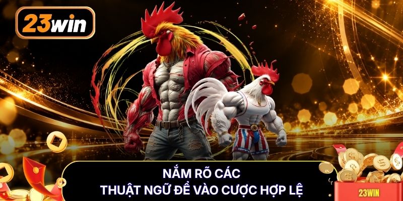 Nắm rõ các thuật ngữ để vào cược hợp lệ