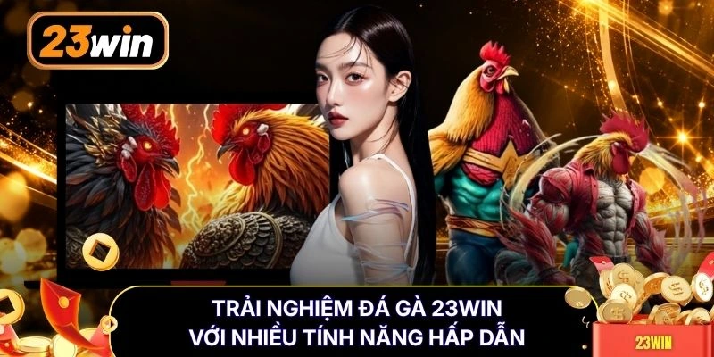 Trải nghiệm đá gà 23WIN với nhiều tính năng hấp dẫn